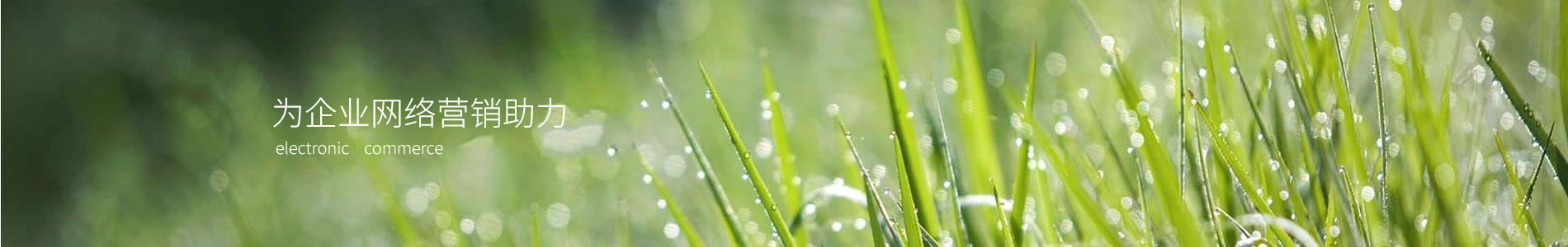 ڹʳƷ޹˾
